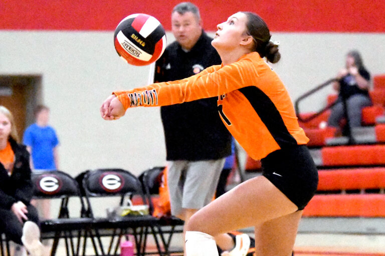 Lady Cubs fall in sub-state title match