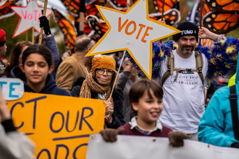 How to prevent election interference