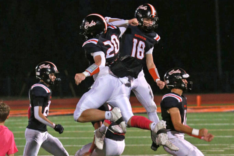 Cubs hold on to end regular season with a win