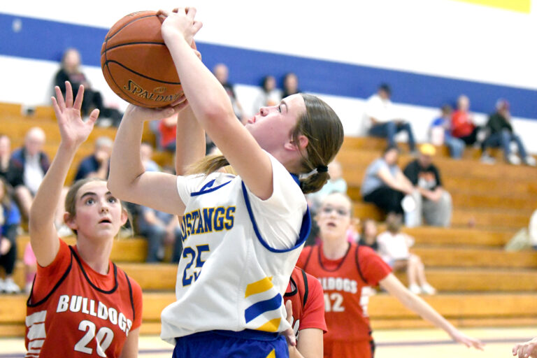 IMS Mustangs sweep Anderson County