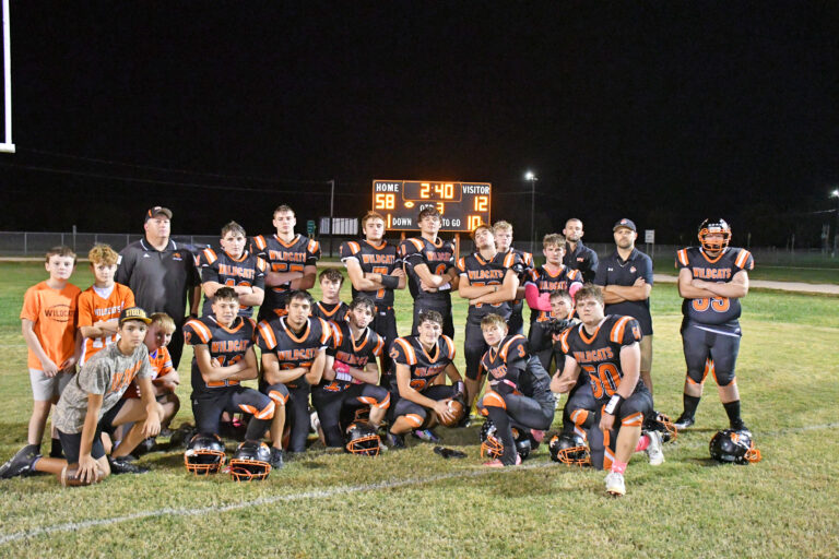 Wildcats win district title